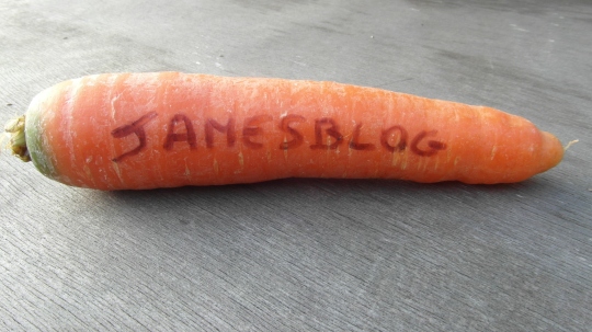 la carota di jamesblog